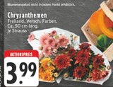 Aktuelle Chrysantheme Angebote bei E center in Wuppertal Aktuelles Chrysanthemen Angebot bei E center in Wuppertal ab 3,99 €