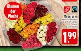 Aktuelles Moosrosen Angebot bei E center in Aachen ab 1,99 €