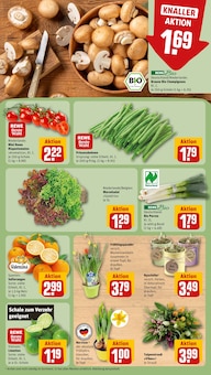 Staubsauger im REWE Prospekt "Dein Markt" mit 26 Seiten (Dresden)