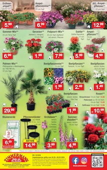 Blumenerde im Zimmermann Prospekt "Aktuelle Angebote" mit 10 Seiten (Bremerhaven)