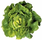 EDEKA Ostbevern - Kopfsalat Angebot im Prospekt Kopfsalat bei EDEKA im Ostbevern Prospekt für 0,99 €