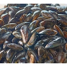 Moules de bouchot S.T.G. FILIÈRE QUALITÉ CARREFOUR - FILIERE QUALITE CARF - Carrefour à Reims Moules de bouchot S.T.G. FILIÈRE QUALITÉ CARREFOUR - FILIERE QUALITE CARF en promo chez Carrefour Reims à 2,89 €