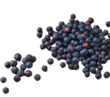 Bio-Heidelbeeren im tegut Prospekt Bio-Heidelbeeren von Bioland tegut... im aktuellen tegut Prospekt fĂŒr 0,99 âŹ