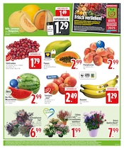 Aktueller EDEKA Prospekt mit Blumen, "HOL DIR DIE EDEKA APP.", Seite 5