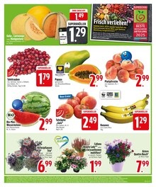 Pflanzen im EDEKA Prospekt "HOL DIR DIE EDEKA APP." mit 30 Seiten (Augsburg)