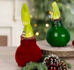 Pflanzen Kölle Hamburg - XL Gewachste Amaryllis Angebot im Prospekt XL Gewachste Amaryllis bei Pflanzen Kölle im Hamburg Prospekt für 14,99 €