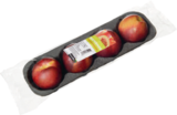 Nektarinen im aktuellen tegut Prospekt für 2,99 €