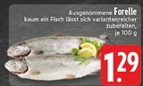 Forelle Angebote bei E center Borken für 1,29 €