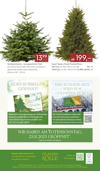Weihnachtsbaum im aktuellen Pflanzen Kölle Prospekt (Hofheim (Taunus)) Weihnachtsbaum im Pflanzen Kölle Prospekt "ADVENTS GLANZ" mit 18 Seiten (Hofheim (Taunus))