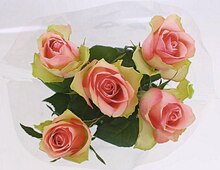 Bouquet de 5 Roses - Géant Casino à Angers Bouquet de 5 Roses en promo chez Géant Casino Angers à 2,00 €