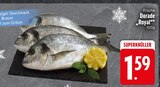 Frische Dorade Royal im Angebot bei EDEKA in Ravensburg Frische Dorade Royal Angebote bei EDEKA Ravensburg für 1,59 €