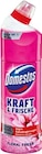 WC-Gel Ocean Fresh im Angebot bei Netto Marken-Discount in Heidelberg WC-Gel Ocean Fresh Angebote von Domestos bei Netto Marken-Discount Heidelberg für 1,69 €