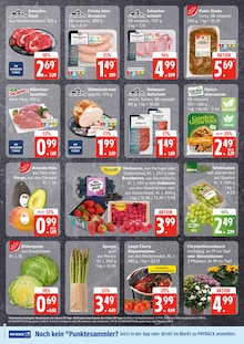 EDEKA Frischemarkt Jeshop Prospekt der aktuellen Woche, gültig von 14.07.2025 bis 19.07.2025 Aktueller EDEKA Frischemarkt Jeshop Prospekt "Top Angebote" mit 5 Seiten