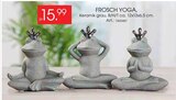 FROSCH YOGA Angebote bei Zurbrüggen Bottrop für 15,99 €