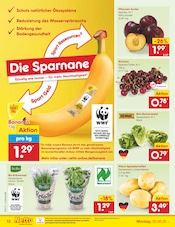 Kartoffeln im Netto Marken-Discount Prospekt in Lutherstadt Wittenberg Aktueller Netto Marken-Discount Prospekt mit Kartoffeln, "Aktuelle Angebote", Seite 14