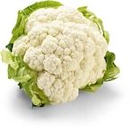 Blumenkohl im Angebot bei Netto Marken-Discount in Velbert Blumenkohl Angebote von HEIMAT bei Netto Marken-Discount Velbert für 0,99 €