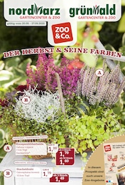 Aktueller Garten-Center Nordharz GmbH & Co. KG Prospekt mit Blumentopf, "DER HERBST & SEINE FARBEN", Seite 1