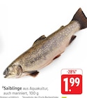 Saiblinge aus Aquakultur im aktuellen Prospekt bei E center in Au