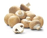 Deutsche braune Champignons Angebot in Bruchsal Deutsche braune Champignons im aktuellen Prospekt bei Penny-Markt in Bruchsal