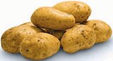 Speisefrühkartoffeln im Angebot bei Markant Nordwest in Lemgo Speisefrühkartoffeln Angebote bei Markant Nordwest Lemgo für 1,99 €