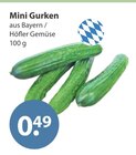 Mini Gurken im V-Markt Prospekt Mini Gurken von Höfler Gemüse im aktuellen V-Markt Prospekt für 0,49 €