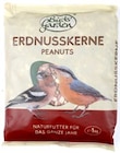 Thomas Philipps Bamberg - Erdnusskerne Angebot im Prospekt Erdnusskerne bei Thomas Philipps im Bamberg Prospekt für 2,88 €