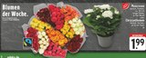 Moosrosen im Angebot bei E center in Moers Moosrosen Angebote von Gut & Günstig bei E center Moers für 1,99 €