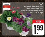 Trio bei E center im Scheinfeld Prospekt für 1,99 €