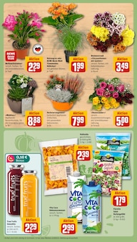 Blumentopf im aktuellen REWE Prospekt (Essen) Blumentopf im REWE Prospekt "Dein Markt" mit 31 Seiten (Essen)