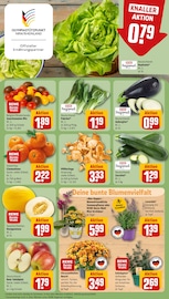 Ähnliche Angebote wie Saatgut im Prospekt "Dein Markt" auf Seite 5 von REWE in Marl