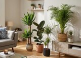 Plante verte à Carrefour dans Trensacq