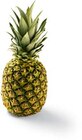 Ananas Angebote bei Netto Marken-Discount Potsdam für 1,29 €
