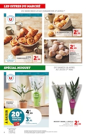 Plantes Angebote im Prospekt "bi1" von Bi1 Plantes Angebote im Prospekt "bi1" von Bi1 auf Seite 8