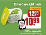 KlimaOase Angebote von Tupperware bei REWE Ettlingen für 24,90 €