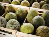 Melon jaune et/ou vert en promo chez Netto Melon jaune et/ou vert dans le catalogue Netto
