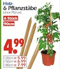 Holz Pflanzstäbe Angebote bei Wreesmann Cottbus für 4,99 €