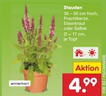Prachtkerze Angebote bei Netto Marken-Discount Laatzen für 4,99 €