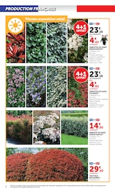 Photinia Angebote im Prospekt "LES PRIX BAS du jardin " von Hyper U Photinia Angebote im Prospekt "LES PRIX BAS du jardin " von Hyper U auf Seite 2