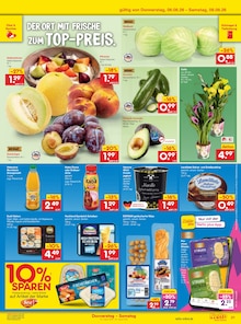 Pflanzen im aktuellen Netto Marken-Discount Prospekt (Braunschweig) Pflanzen im Netto Marken-Discount Prospekt "Aktuelle Angebote" mit 49 Seiten (Braunschweig)