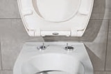 Thermoplast-WC-Sitz im Angebot bei Lidl in Tübingen Thermoplast-WC-Sitz Angebote von LIVARNO home bei Lidl Tübingen für 9,99 €