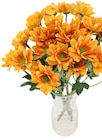 Aktuelle Blumen Angebote bei Penny in Bremen Aktuelles Chrysanthemen Angebot bei Penny in Bremen ab 2,49 €