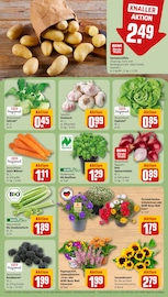 Knoblauch im REWE Prospekt in Neuss Aktueller REWE Prospekt mit Knoblauch, "Dein Markt", Seite 7