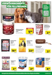 Hundefutter im Hagebaumarkt Prospekt in Viersen Aktueller Hagebaumarkt Prospekt mit Hundefutter, "HOL DIR FREUDE IN DEINEN GARTEN", Seite 20