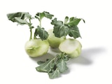 Kohlrabi Angebot in Rüthen Kohlrabi im aktuellen Prospekt bei Lidl in Rüthen
