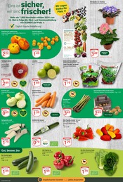 Bio im GLOBUS Prospekt in Castrop-Rauxel Aktueller GLOBUS Prospekt mit Bio, "Aktuelle Angebote", Seite 5