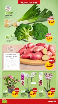 Garten Angebot im Penny Prospekt, gültig von 15.12.2025 bis 21.12.2025 Garten Angebot im aktuellen Penny Prospekt auf Seite 5