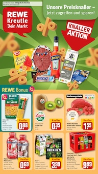 REWE Prospekt Dein Markt mit  Seiten in Meersburg und Umgebung
