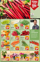 Gartenhaus Angebot im aktuellen REWE Prospekt auf Seite 7