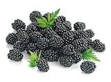 Brombeeren im REWE Prospekt Brombeeren von REWE Beste Wahl im aktuellen REWE Prospekt für 1,99 €