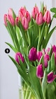 15 tulipes - U en promo chez Super U Caen à 6,59 €
